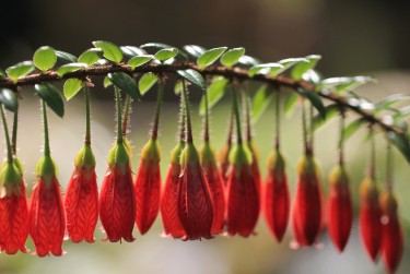 肇庆端州区5私人快速借钱网，轻松解决资金难题