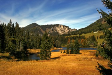 肇庆端州区5民间私贷攻略：揭秘低成本借贷的秘密