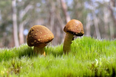 肇庆端州区5私人老板放款：轻松融资的秘密通道